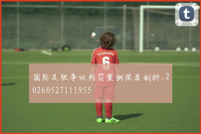 国际足联争议判罚案例深度剖析_20260527111955